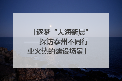 逐梦“大海新晨”——探访泰州不同行业火热的建设场景