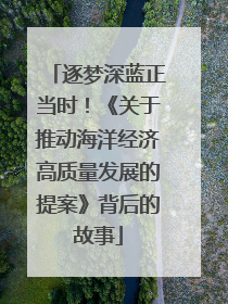 逐梦深蓝正当时！《关于推动海洋经济高质量发展的提案》背后的故事