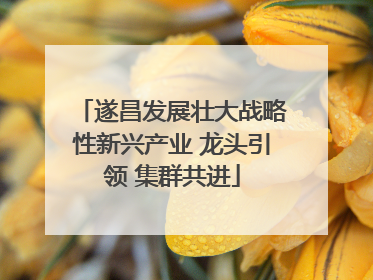 遂昌发展壮大战略性新兴产业 龙头引领 集群共进