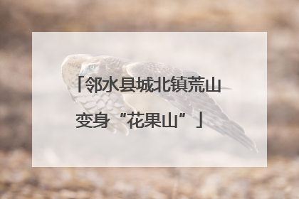 邻水县城北镇荒山变身“花果山”
