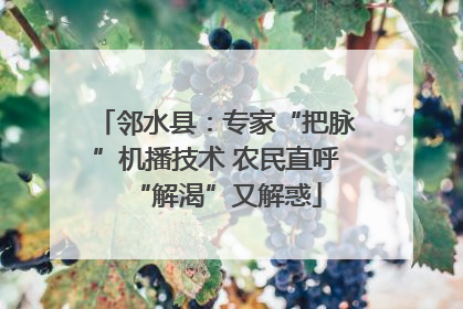 邻水县：专家“把脉”机播技术 农民直呼“解渴”又解惑