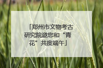 郑州市文物考古研究院邀您和“青花”共度端午