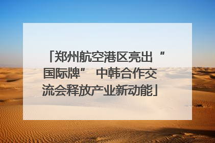 郑州航空港区亮出“国际牌” 中韩合作交流会释放产业新动能