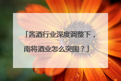 酱酒行业深度调整下，南将酒业怎么突围？