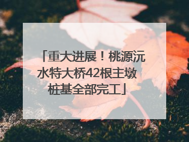 重大进展！桃源沅水特大桥42根主墩桩基全部完工