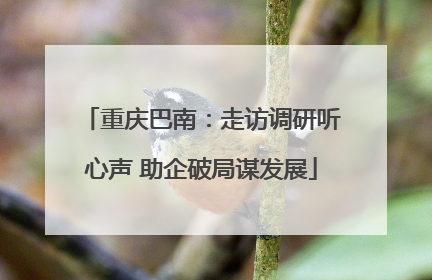 重庆巴南：走访调研听心声 助企破局谋发展
