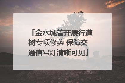 金水城管开展行道树专项修剪 保障交通信号灯清晰可见