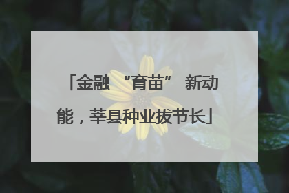 金融 “育苗” 新动能，莘县种业拔节长