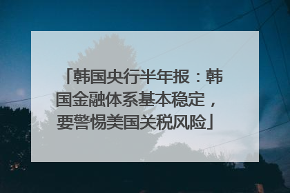 韩国央行半年报：韩国金融体系基本稳定，要警惕美国关税风险