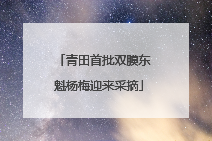 青田首批双膜东魁杨梅迎来采摘