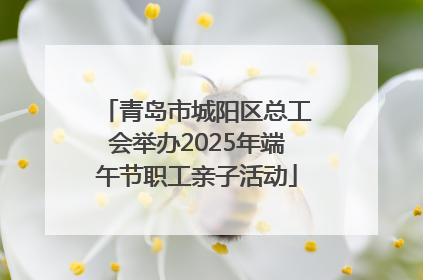 青岛市城阳区总工会举办2025年端午节职工亲子活动
