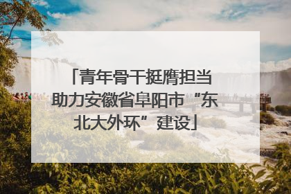 青年骨干挺膺担当 助力安徽省阜阳市“东北大外环”建设