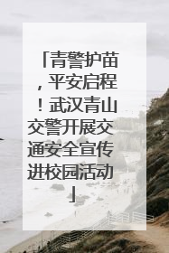 青警护苗，平安启程！武汉青山交警开展交通安全宣传进校园活动