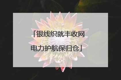 银线织就丰收网 电力护航保归仓