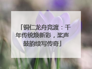 铜仁龙舟竞渡：千年传统焕新彩，桨声鼓韵续写传奇