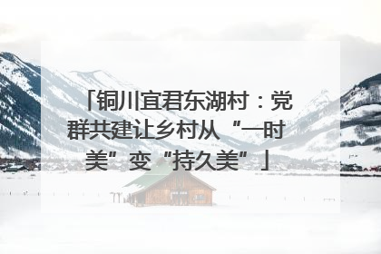 铜川宜君东湖村：党群共建让乡村从“一时美”变“持久美”