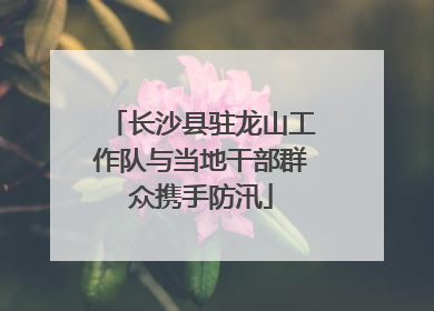 长沙县驻龙山工作队与当地干部群众携手防汛