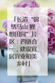长清“锦绣马山 鲤想田园”片区：四链合一，建设宜居宜业和美乡村