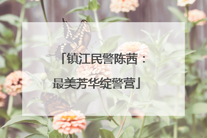 镇江民警陈茜：最美芳华绽警营