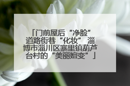 门前屋后“净脸” 道路街巷“化妆” 淄博市淄川区寨里镇葫芦台村的“美丽嬗变”