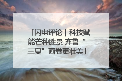 闪电评论｜科技赋能芒种胜景 齐鲁“三夏”画卷更壮美