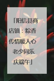 阳信县商店镇：粽香传情暖人心 老少同乐庆端午
