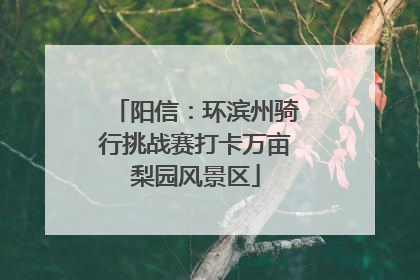 阳信：环滨州骑行挑战赛打卡万亩梨园风景区