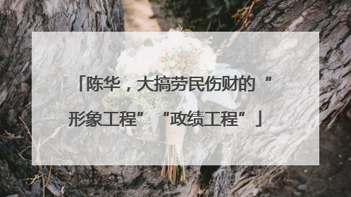 陈华，大搞劳民伤财的“形象工程”“政绩工程”
