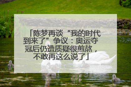 陈梦再谈“我的时代到来了”争议：奥运夺冠后仍遭质疑很煎熬，不敢再这么说了