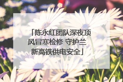 陈永红团队深夜顶风冒寒检修 守护兰新高铁供电安全