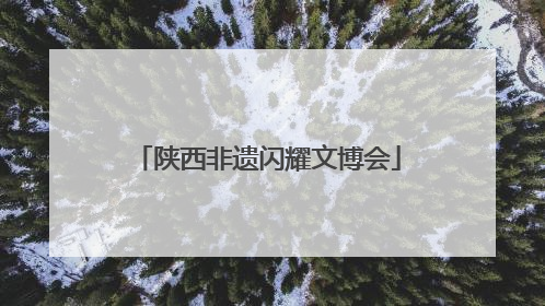 陕西非遗闪耀文博会