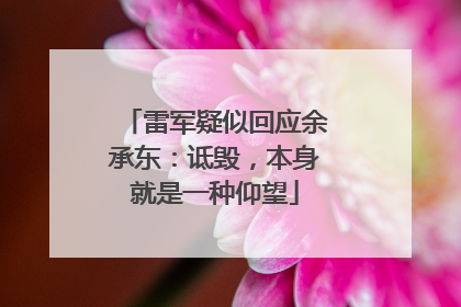 雷军疑似回应余承东：诋毁，本身就是一种仰望