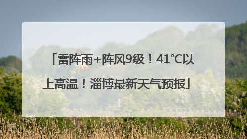 雷阵雨+阵风9级！41℃以上高温！淄博最新天气预报