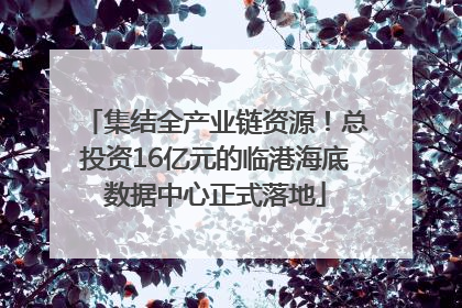 集结全产业链资源！总投资16亿元的临港海底数据中心正式落地