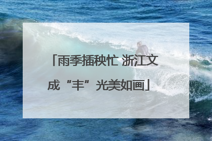 雨季插秧忙 浙江文成“丰”光美如画