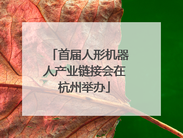 首届人形机器人产业链接会在杭州举办