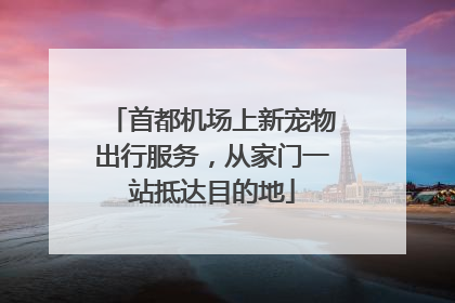 首都机场上新宠物出行服务，从家门一站抵达目的地