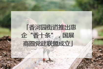 香河园街道推出惠企“香十条”，国展商圈党建联盟成立