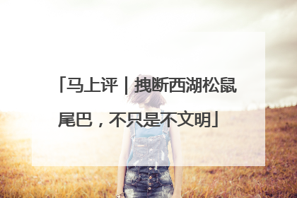 马上评｜拽断西湖松鼠尾巴，不只是不文明