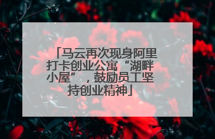 马云再次现身阿里打卡创业公寓“湖畔小屋”，鼓励员工坚持创业精神