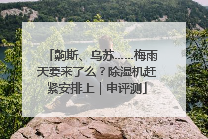 齁斯、乌苏……梅雨天要来了么？除湿机赶紧安排上｜申评测