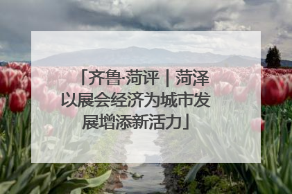 齐鲁·菏评｜菏泽以展会经济为城市发展增添新活力