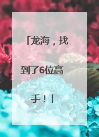 龙海，找到了6位高手！