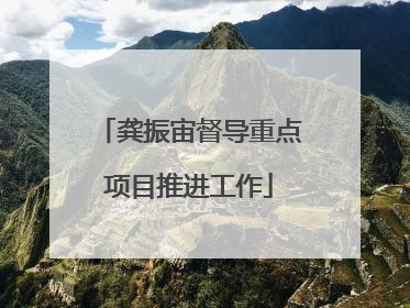 龚振宙督导重点项目推进工作