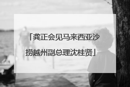 龚正会见马来西亚沙捞越州副总理沈桂贤