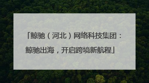 鲸驰（河北）网络科技集团：鲸驰出海，开启跨境新航程
