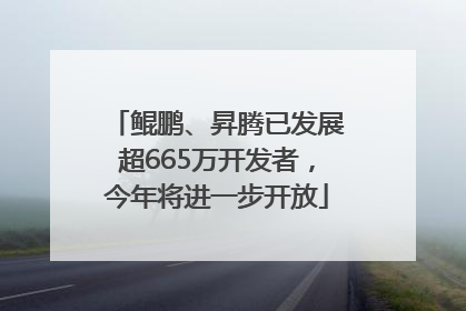 鲲鹏、昇腾已发展超665万开发者，今年将进一步开放