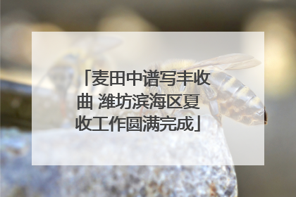 麦田中谱写丰收曲 潍坊滨海区夏收工作圆满完成