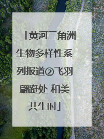 黄河三角洲生物多样性系列报道②飞羽翩跹处 和美共生时