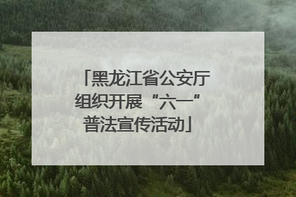 黑龙江省公安厅组织开展“六一”普法宣传活动